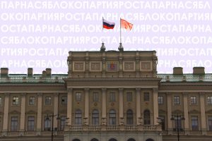 Модная одежда из кожи 2017, модные тенденции Мешок на животе БРИТАНСКИОТЛАНДСКИЕ КОТЫ