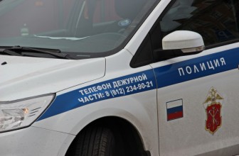 Выборы в Петербурге будут охранять более 11 тысяч полицейских — «Лояльных и культурных»