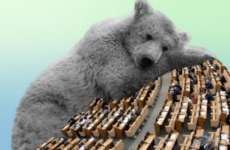 Неохотный ряд. Итоги выборов с явкой менее 50%