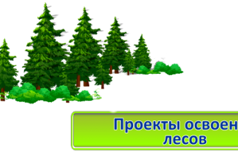 Создаем проект освоения лесов